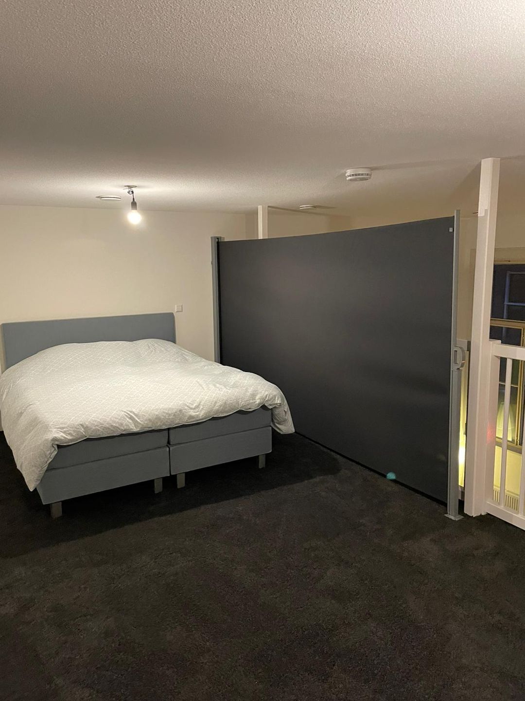 Foto 7 van Raoul Wallenbergplantsoen 11