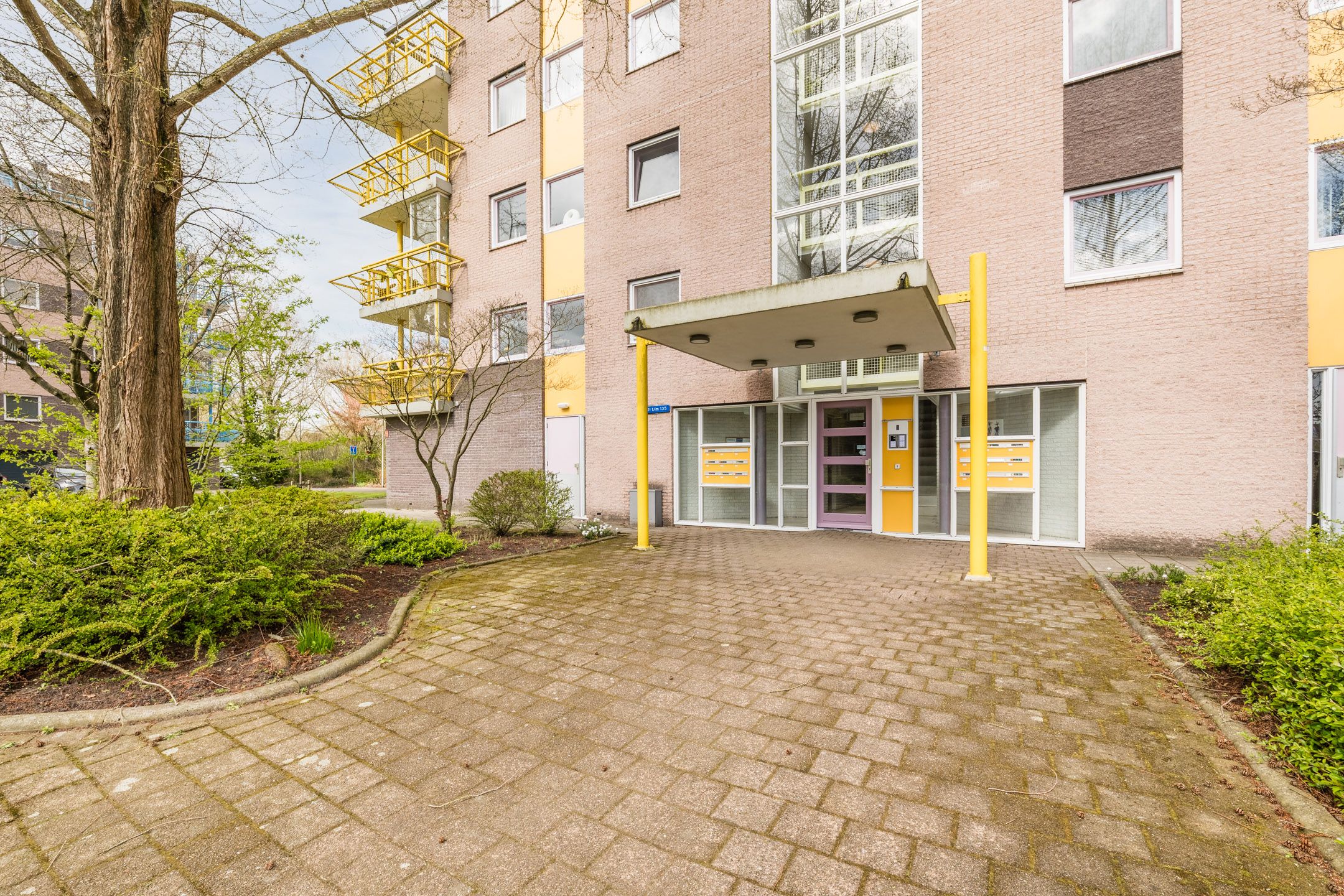 Photo 36 of De Maaier 117