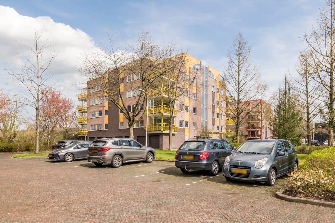 Photo 37 of De Maaier 117