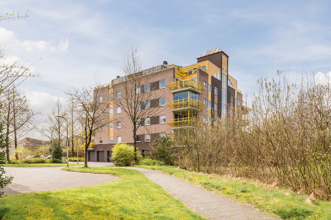 Photo 38 of De Maaier 117