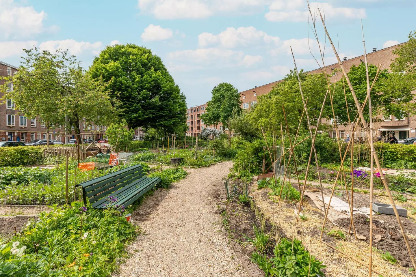 Foto 25 van Afrikanerplein 100