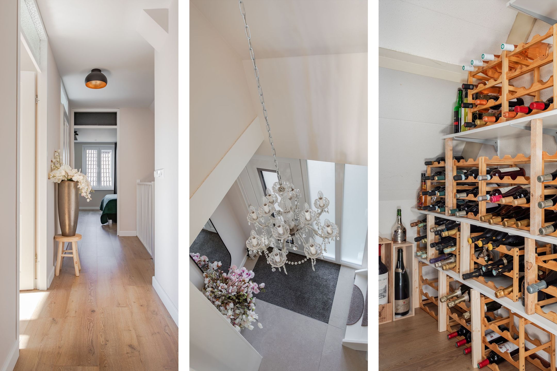 Foto 18 van Houtduif 10