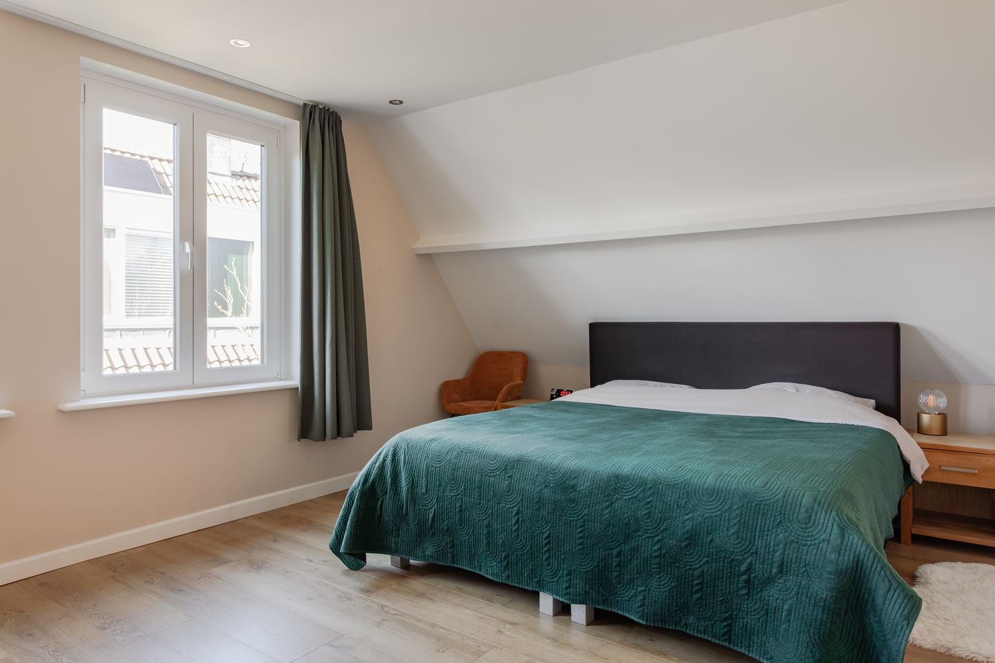 Foto 20 van Houtduif 10