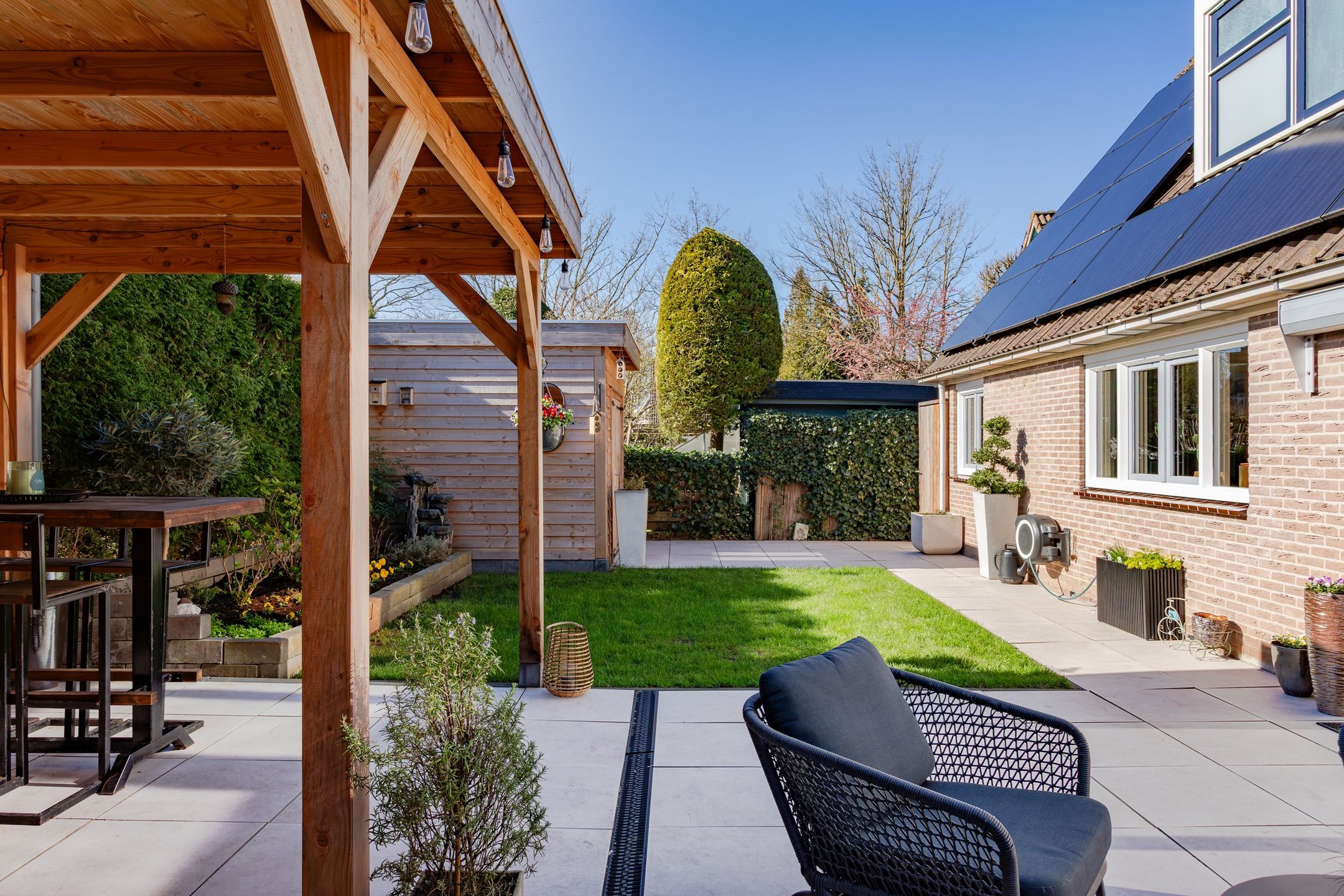 Foto 30 van Houtduif 10