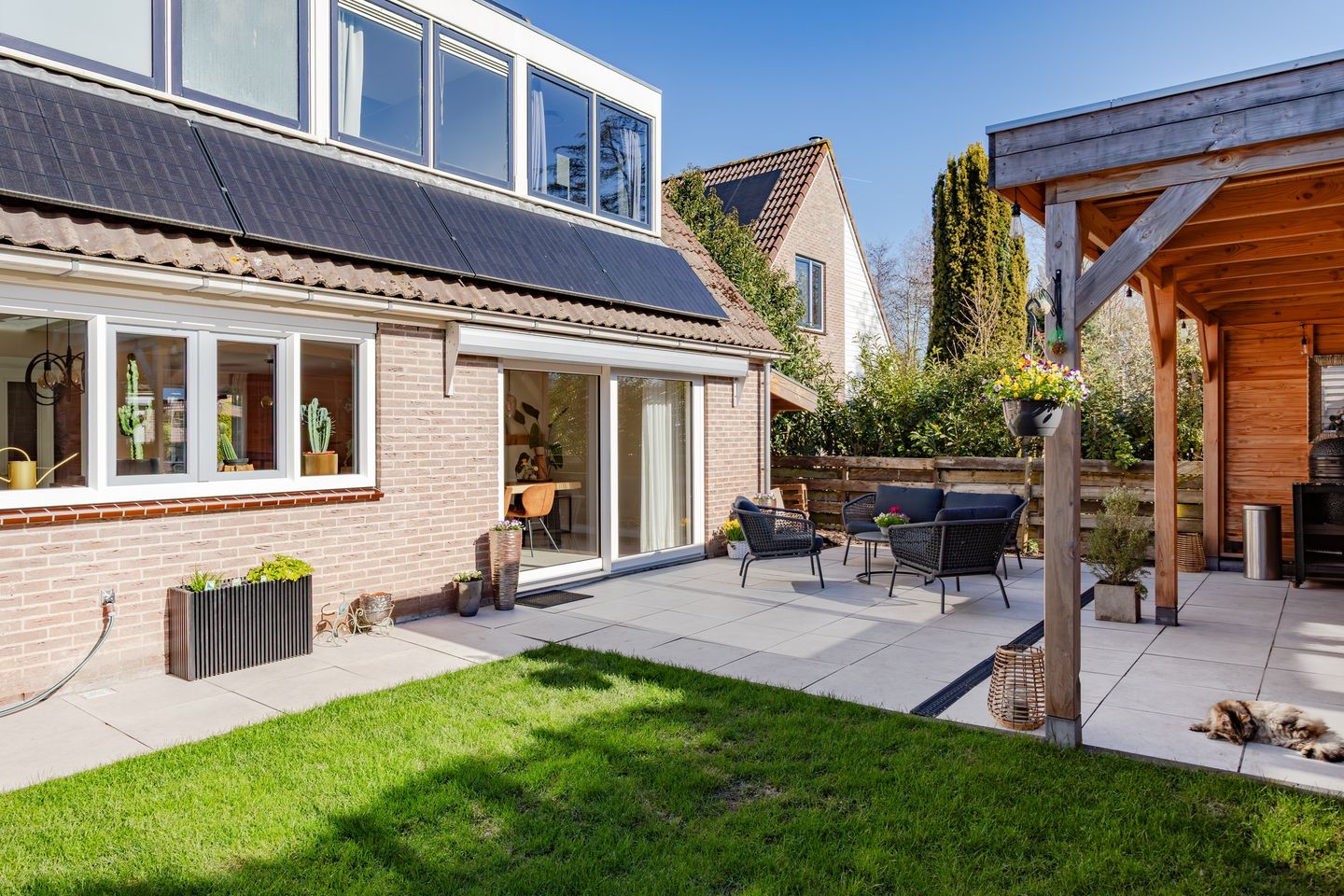 Foto 29 van Houtduif 10