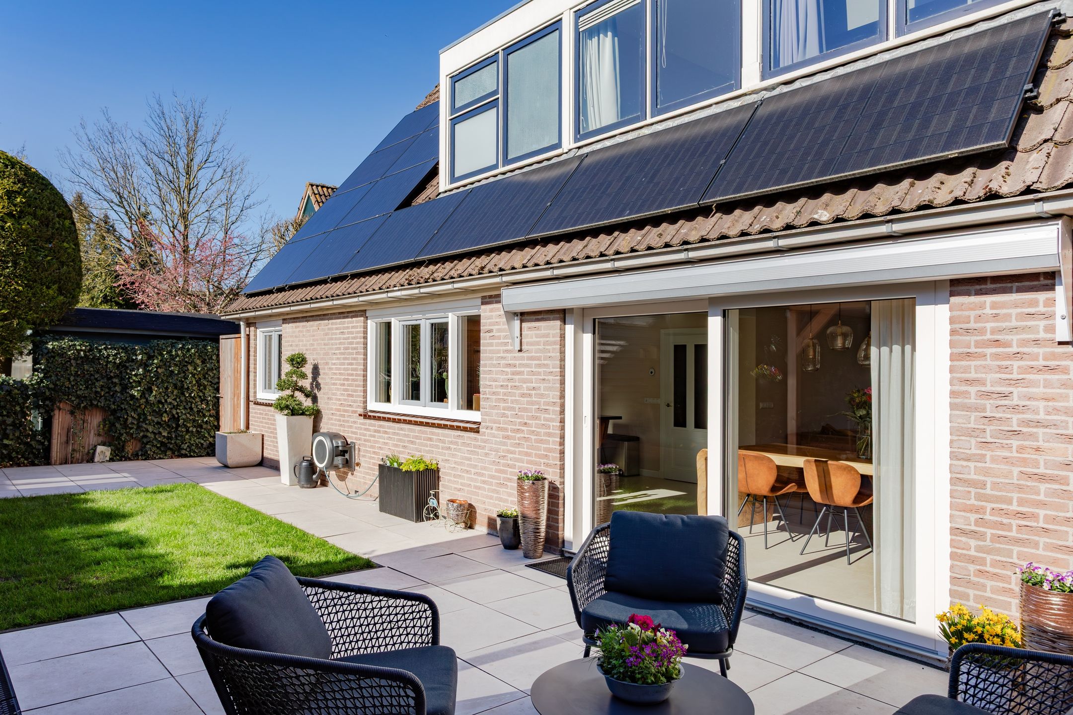 Foto 36 van Houtduif 10