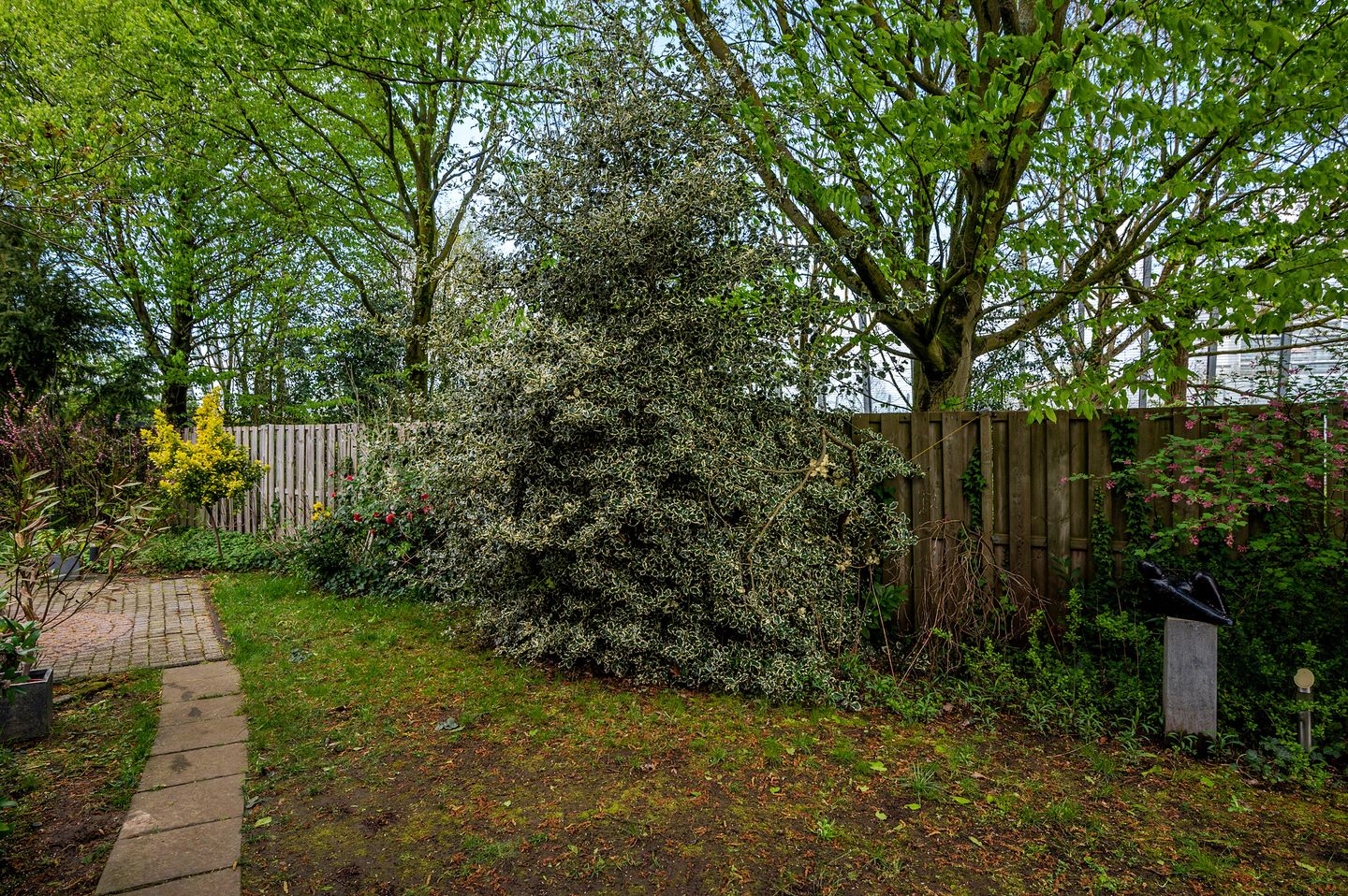 Photo 55 of Senecalaan 14