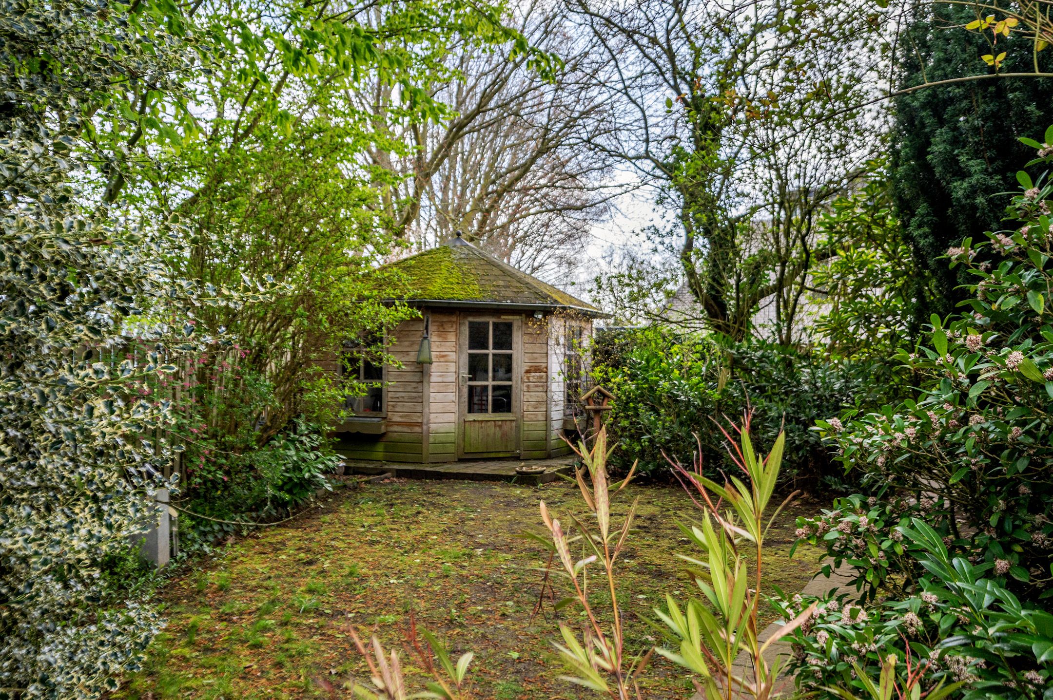 Photo 54 of Senecalaan 14