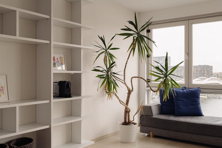 Foto 3 van Veemkade 276