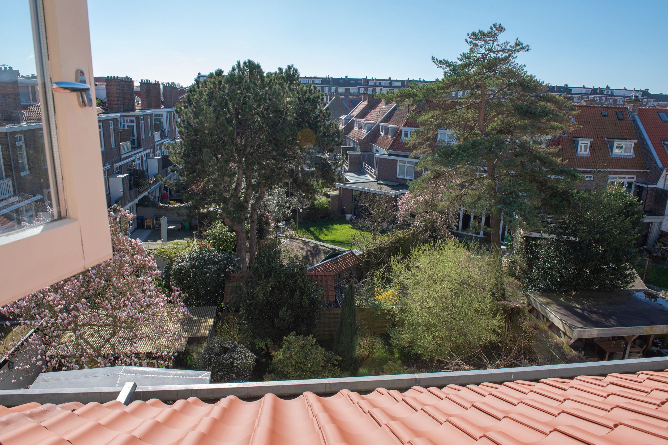 Foto 39 van Aronskelkweg 82