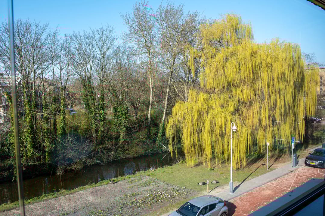 Foto 46 van Aronskelkweg 82