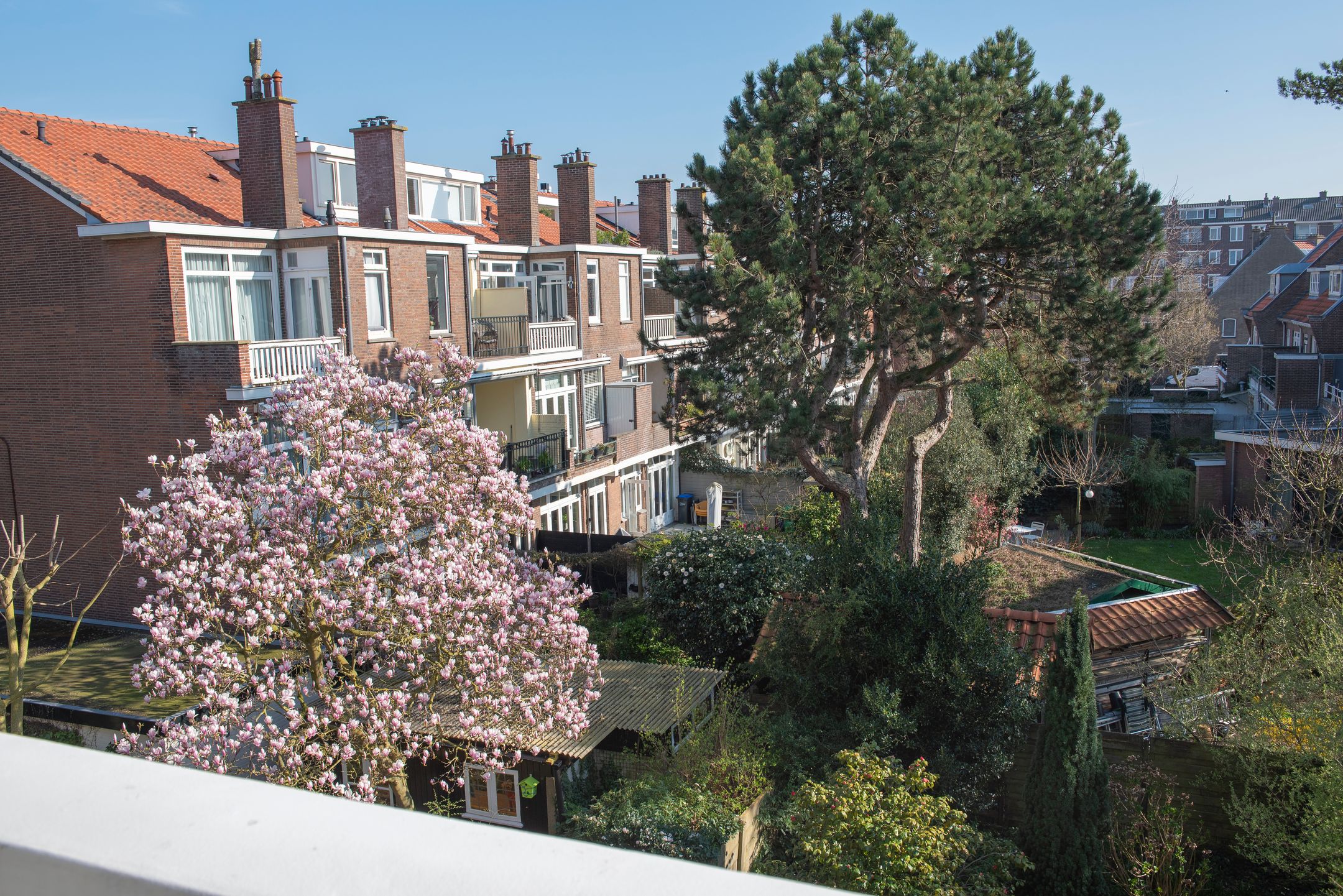 Foto 27 van Aronskelkweg 82