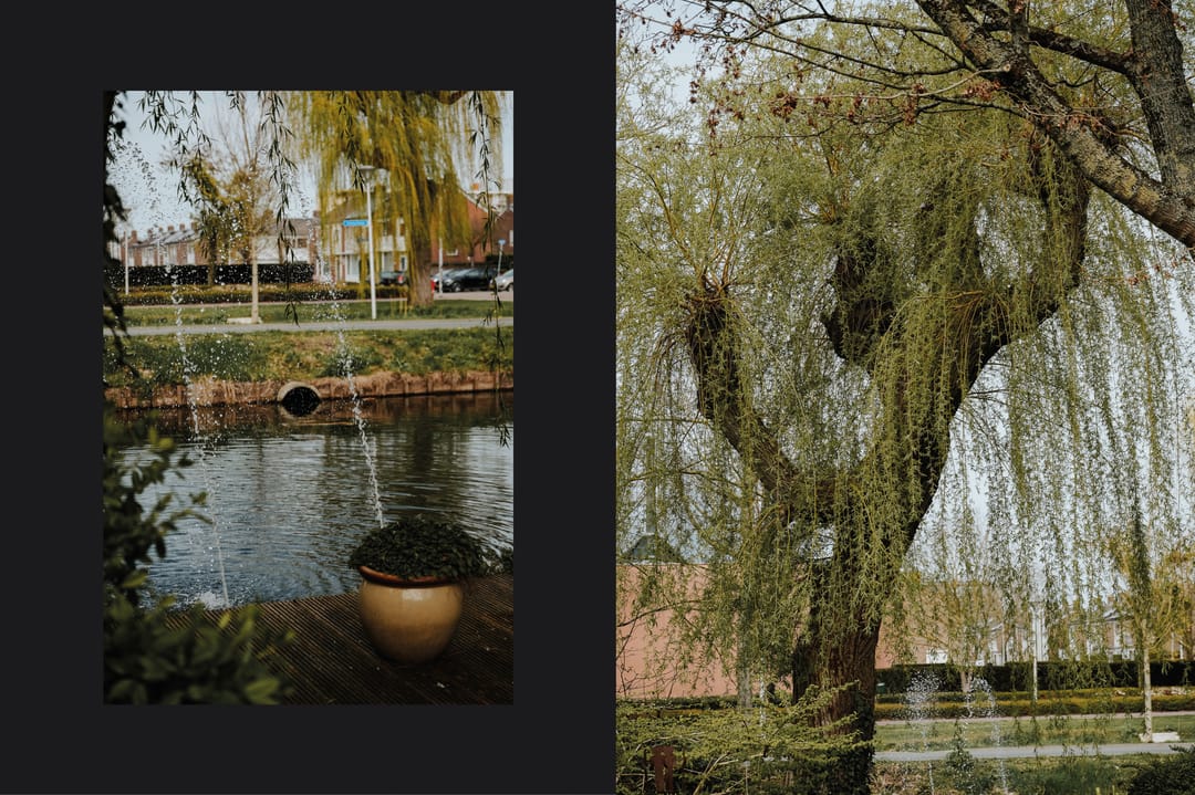 Photo 31 of Populierstraat 1-A