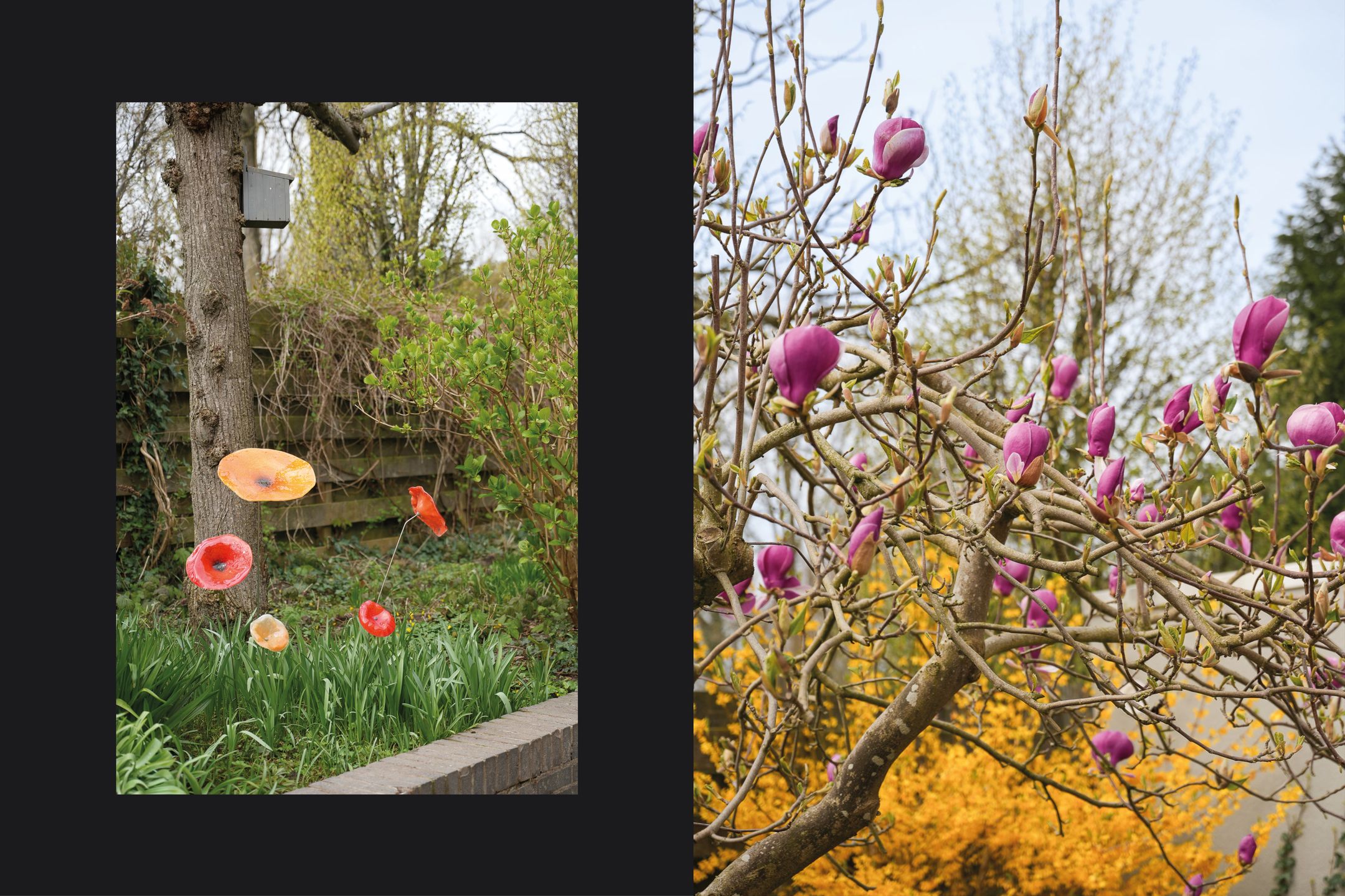 Photo 33 of Populierstraat 1-A