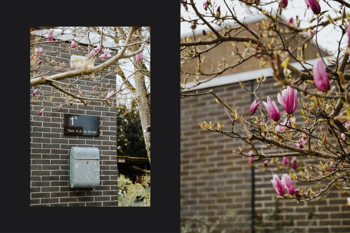 Photo 40 of Populierstraat 1-A