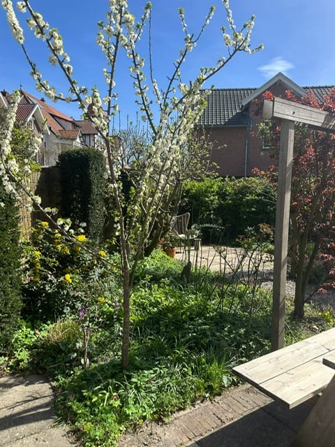 Foto 18 van Wagenweg 55