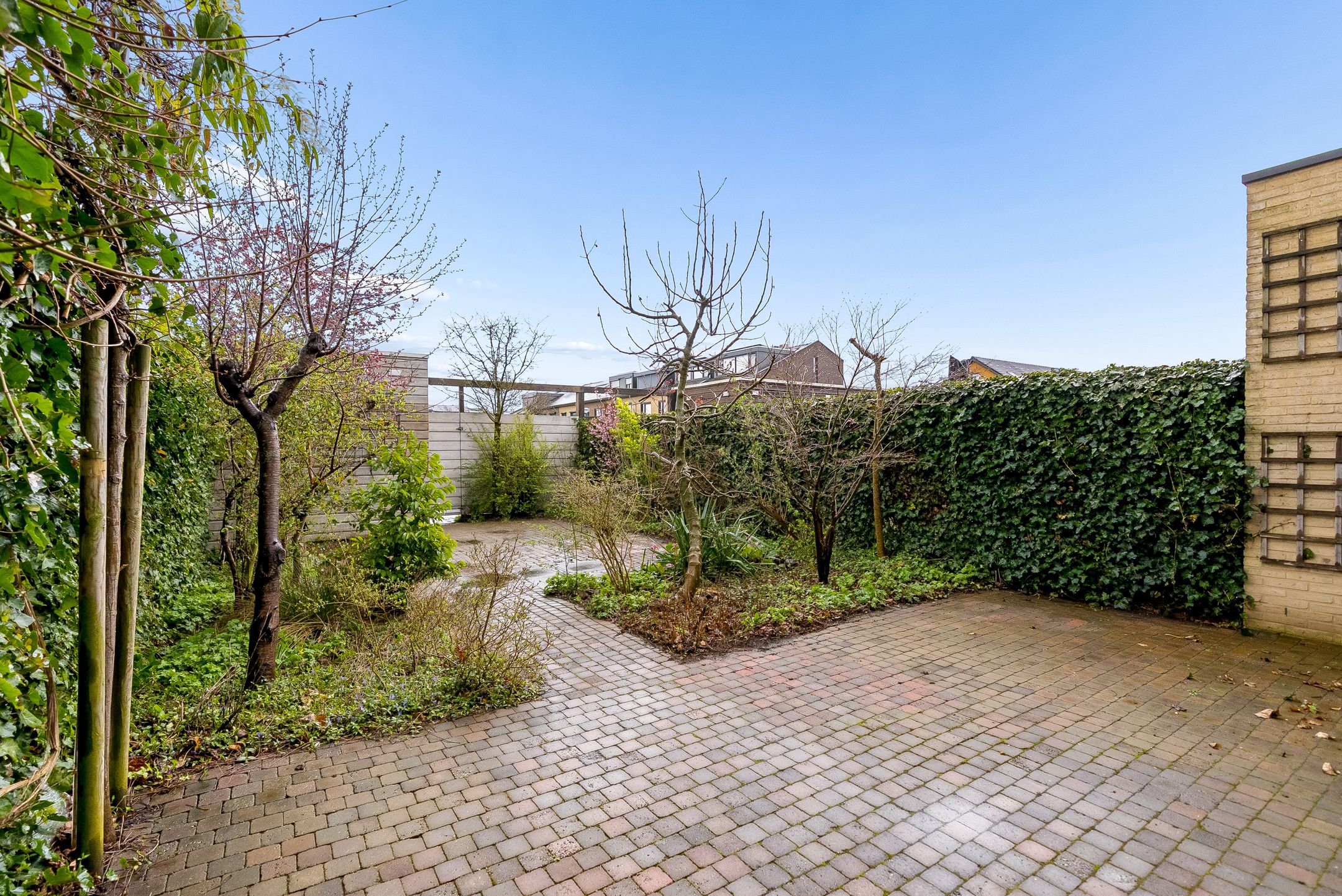 Foto 3 van Grootzeil 426