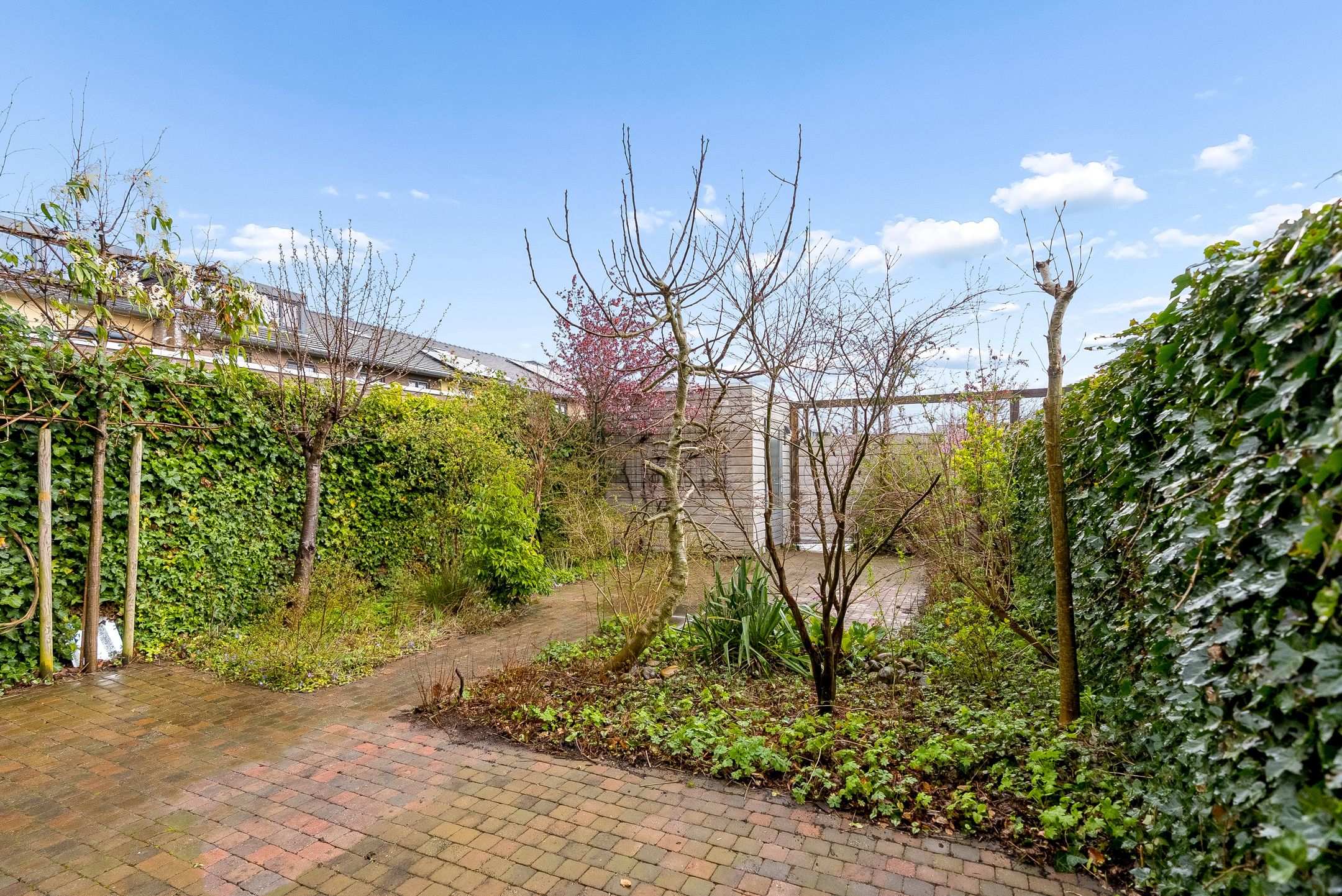 Foto 33 van Grootzeil 426