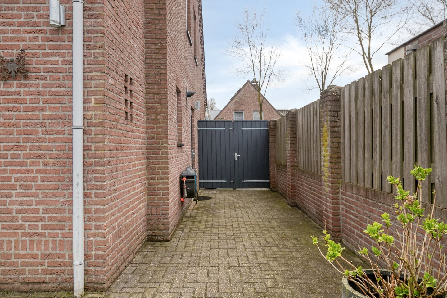 Photo 40 of Schalluine 2