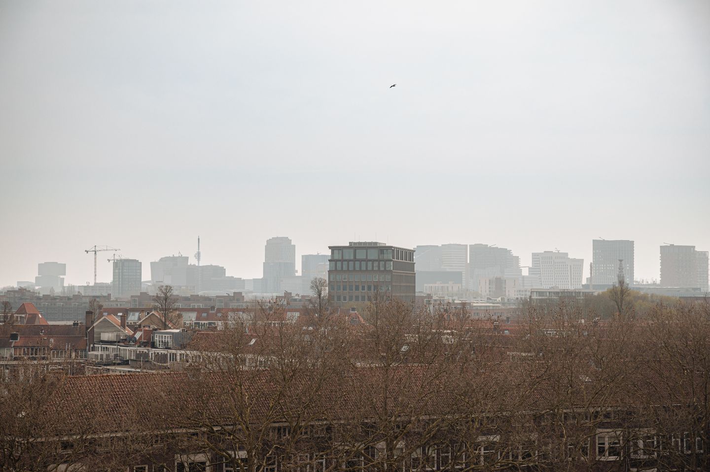 Foto 19 van Poeldijkstraat 309