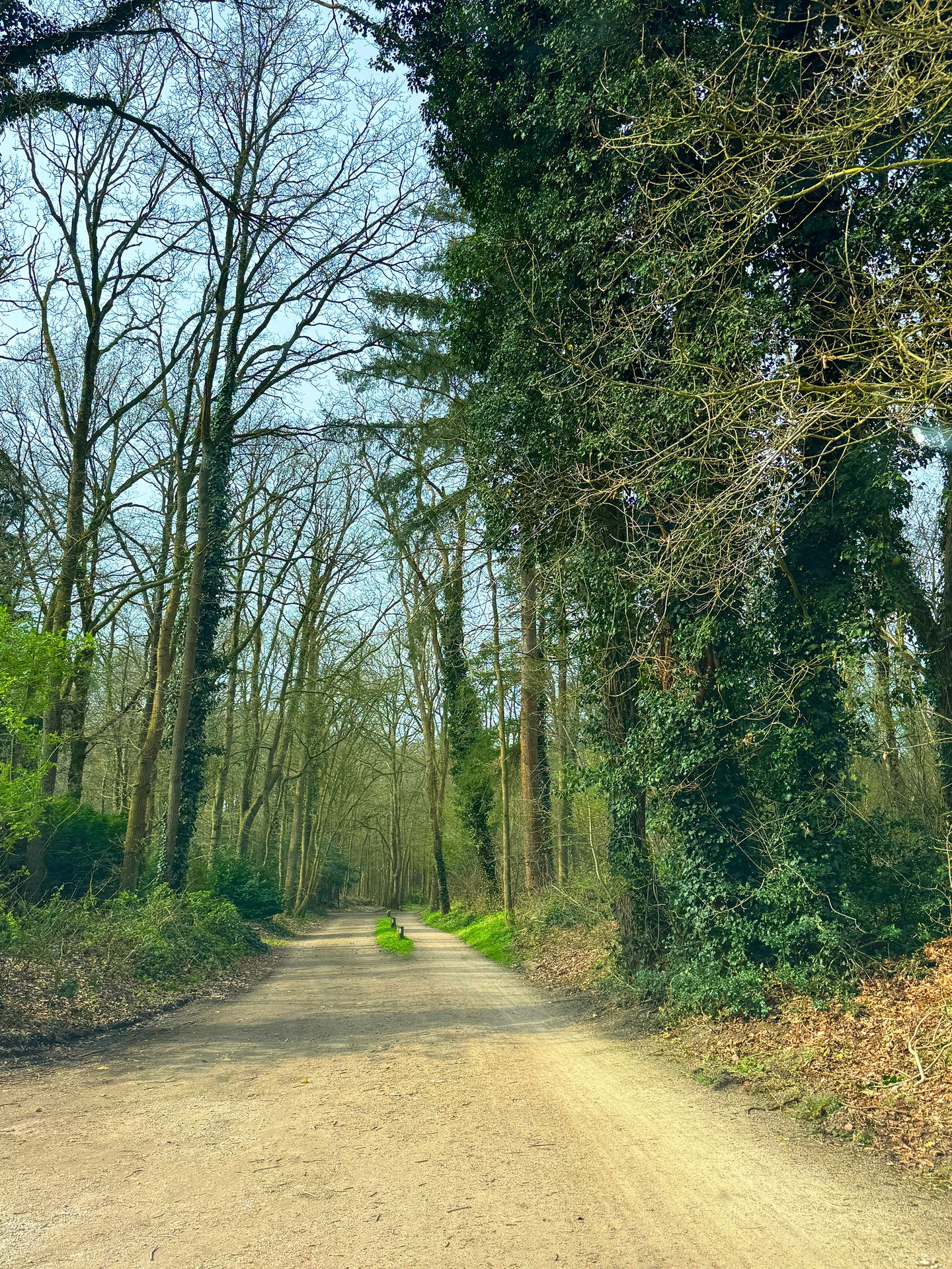 Foto 64 van Aalberselaan 2