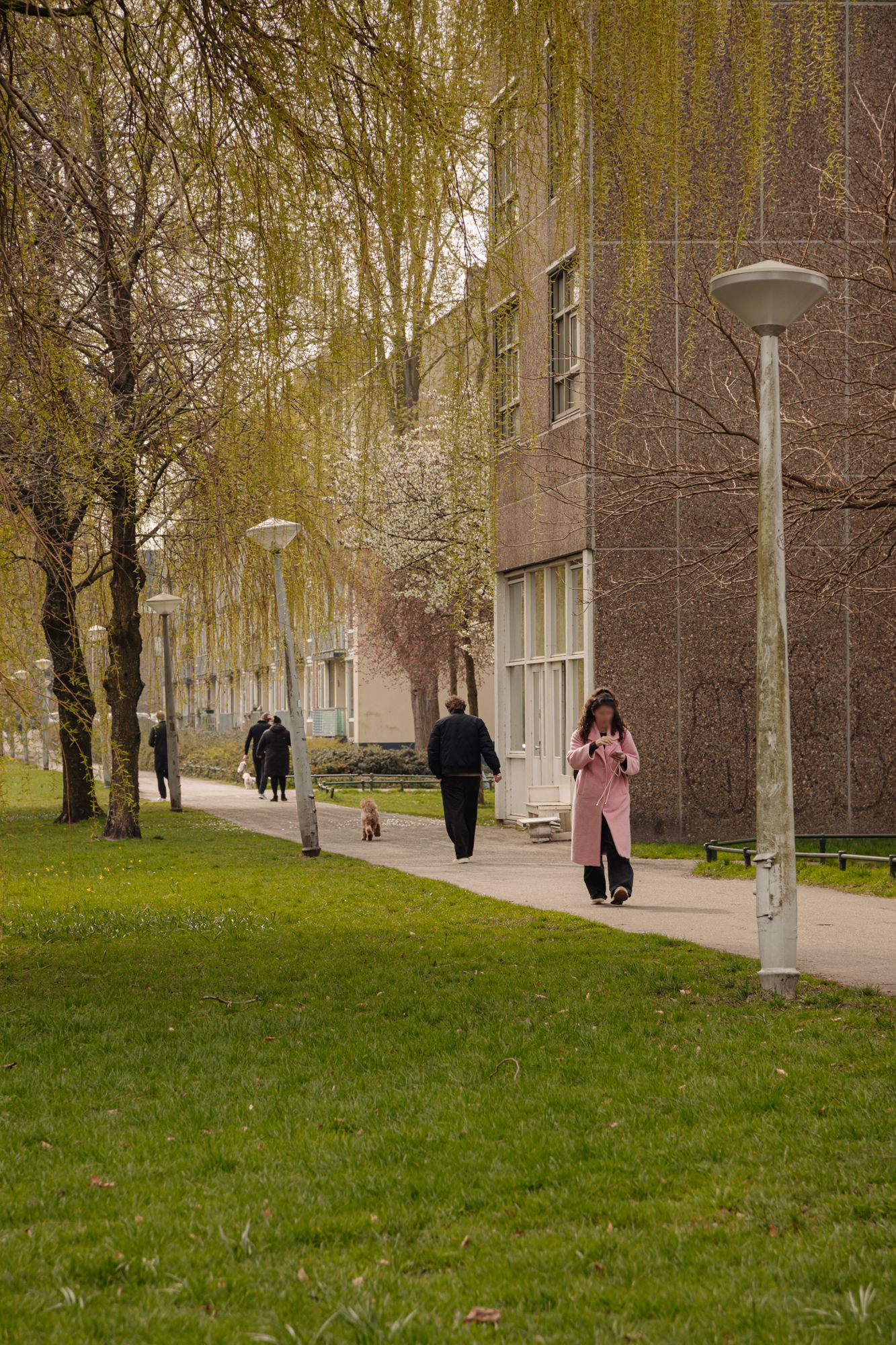 Foto 25 van Poeldijkstraat 309