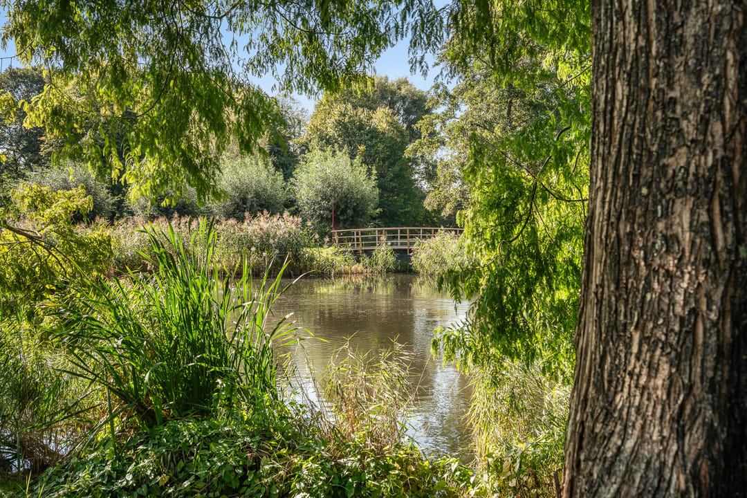 Photo 53 of Penninghove 14