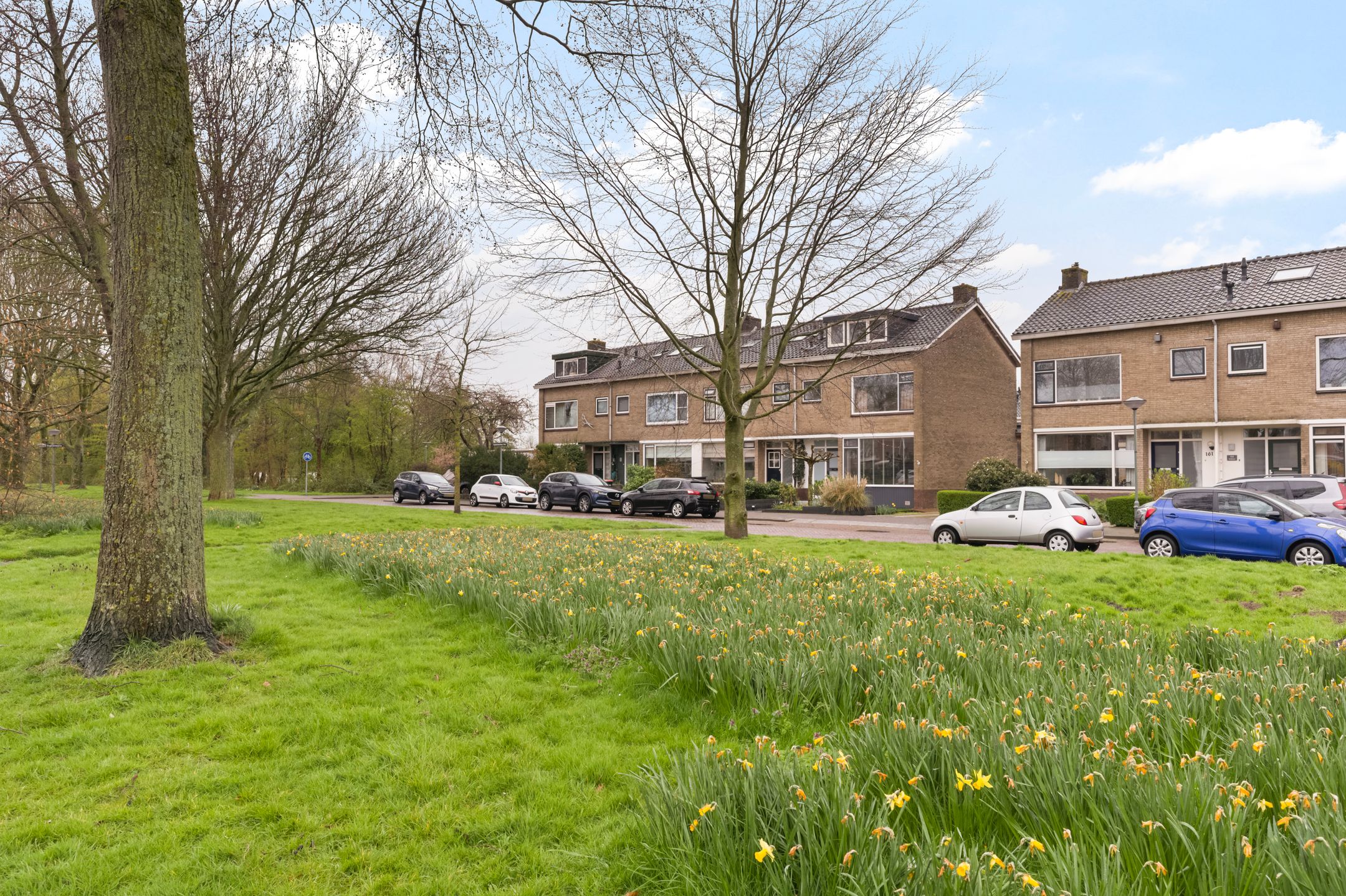 Foto 57 van Dubbelsteynlaan Oost 163