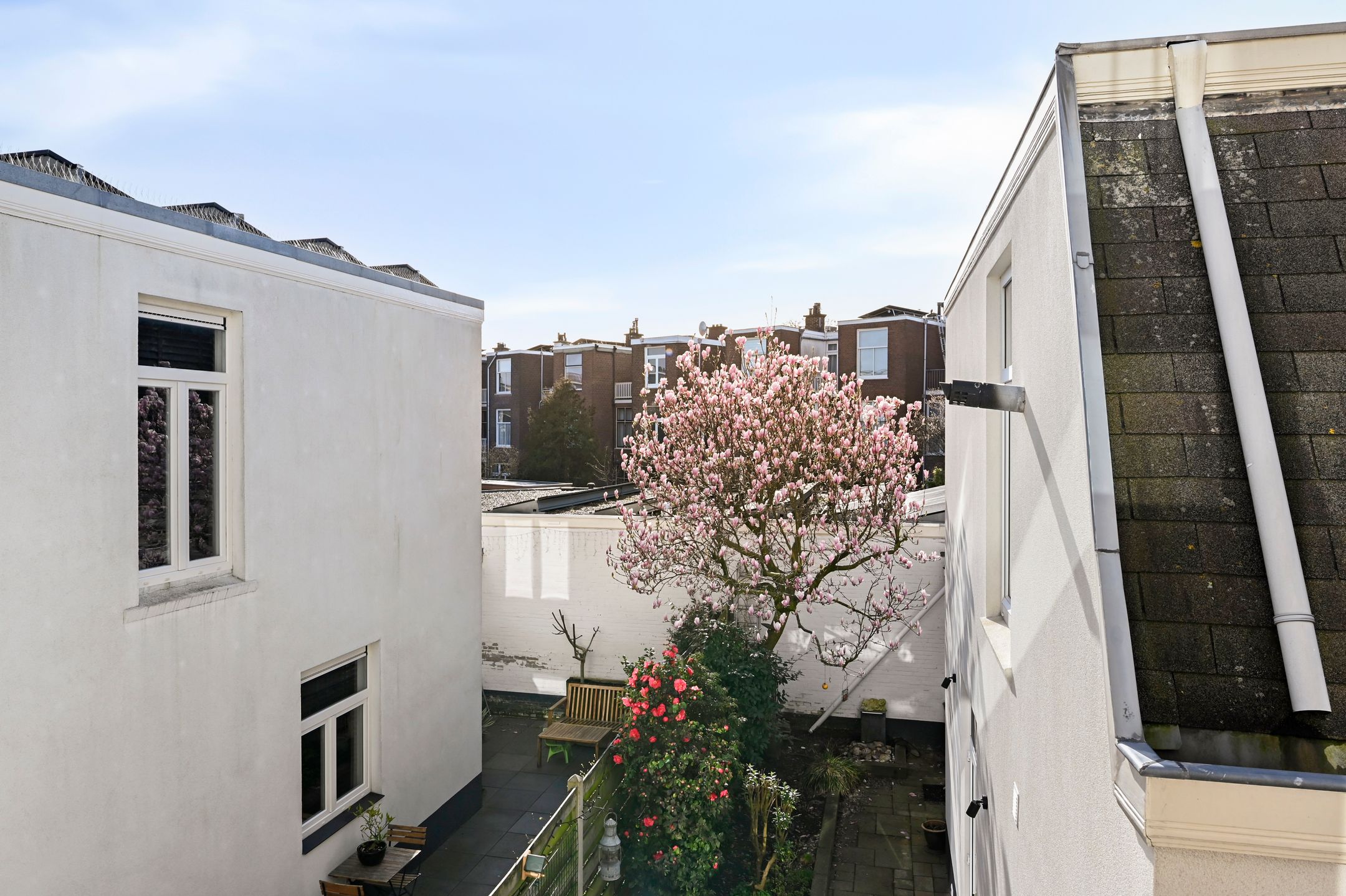 Foto 12 van François Maelsonstraat 14