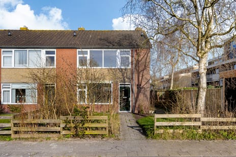 undefined main image