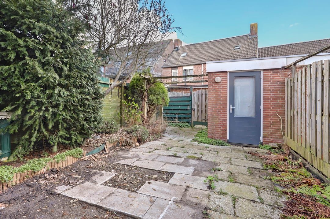 Foto 7 van Jadedrift 13