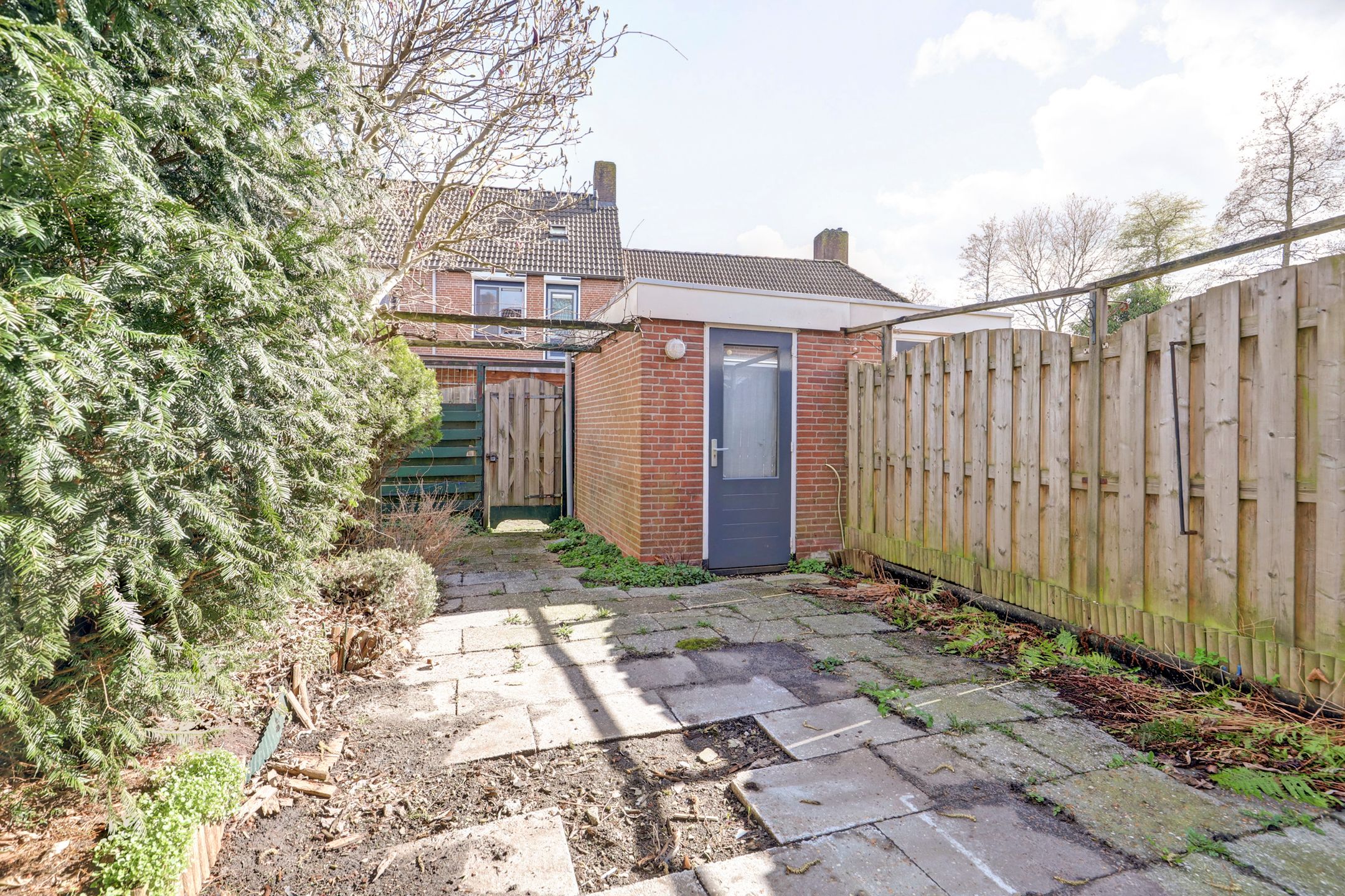 Foto 6 van Jadedrift 13