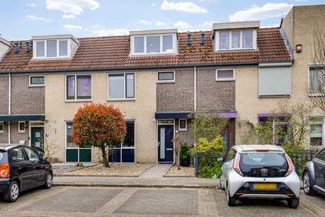 undefined main image