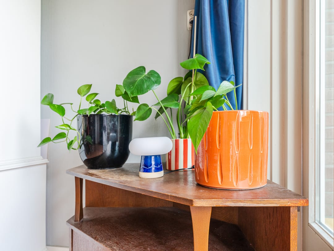 Foto 16 van Vondellaan 7-BS