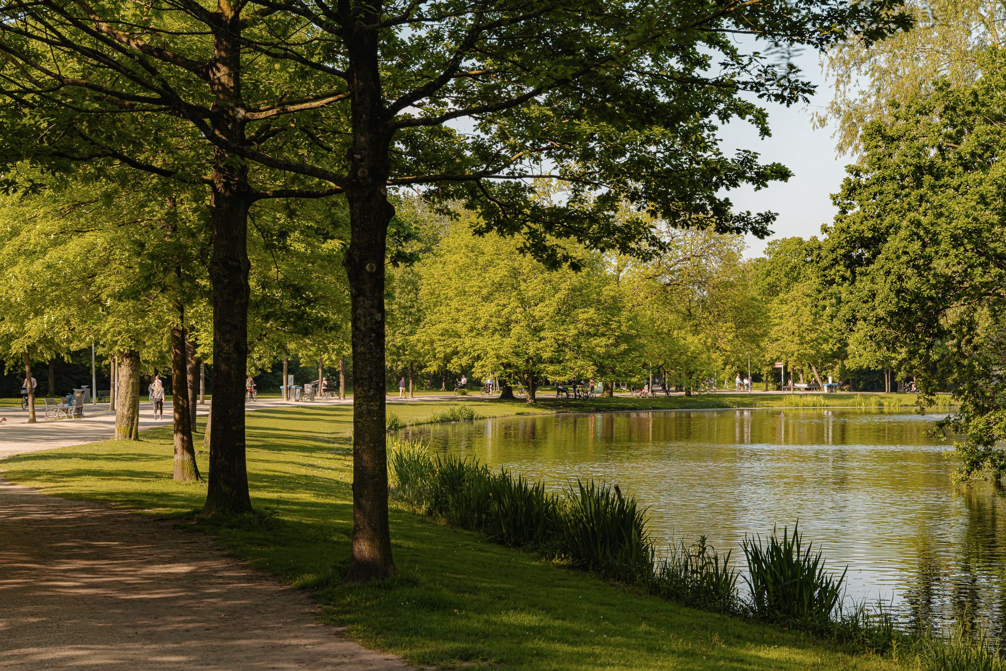 Foto 42 van Valeriusstraat 183-3