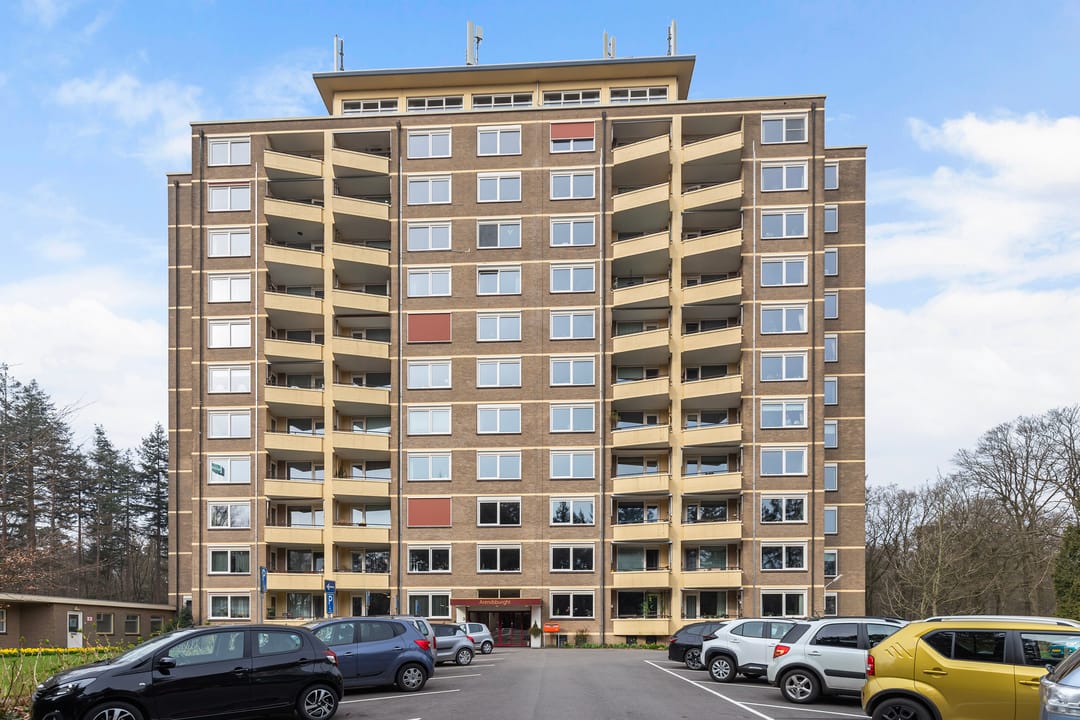 Foto 2 van Soerenseweg 125-35