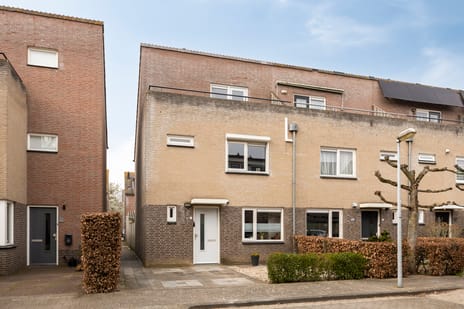 Meester van Ierselstraat thumbnail