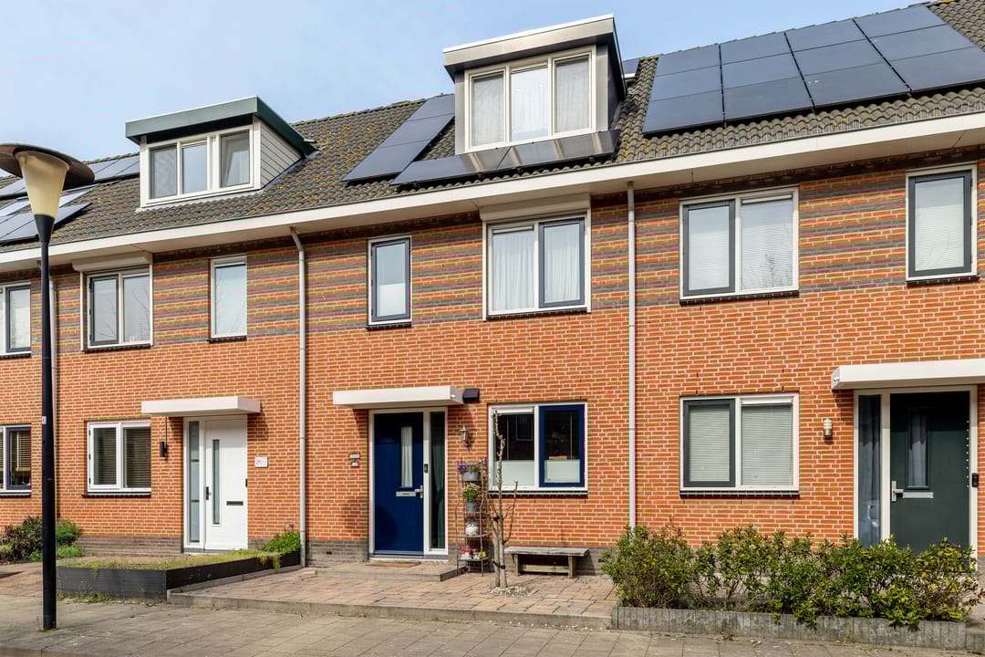 Foto 1 van Populierenhout 27