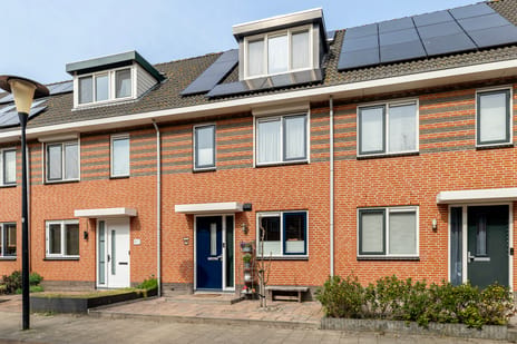 Populierenhout thumbnail