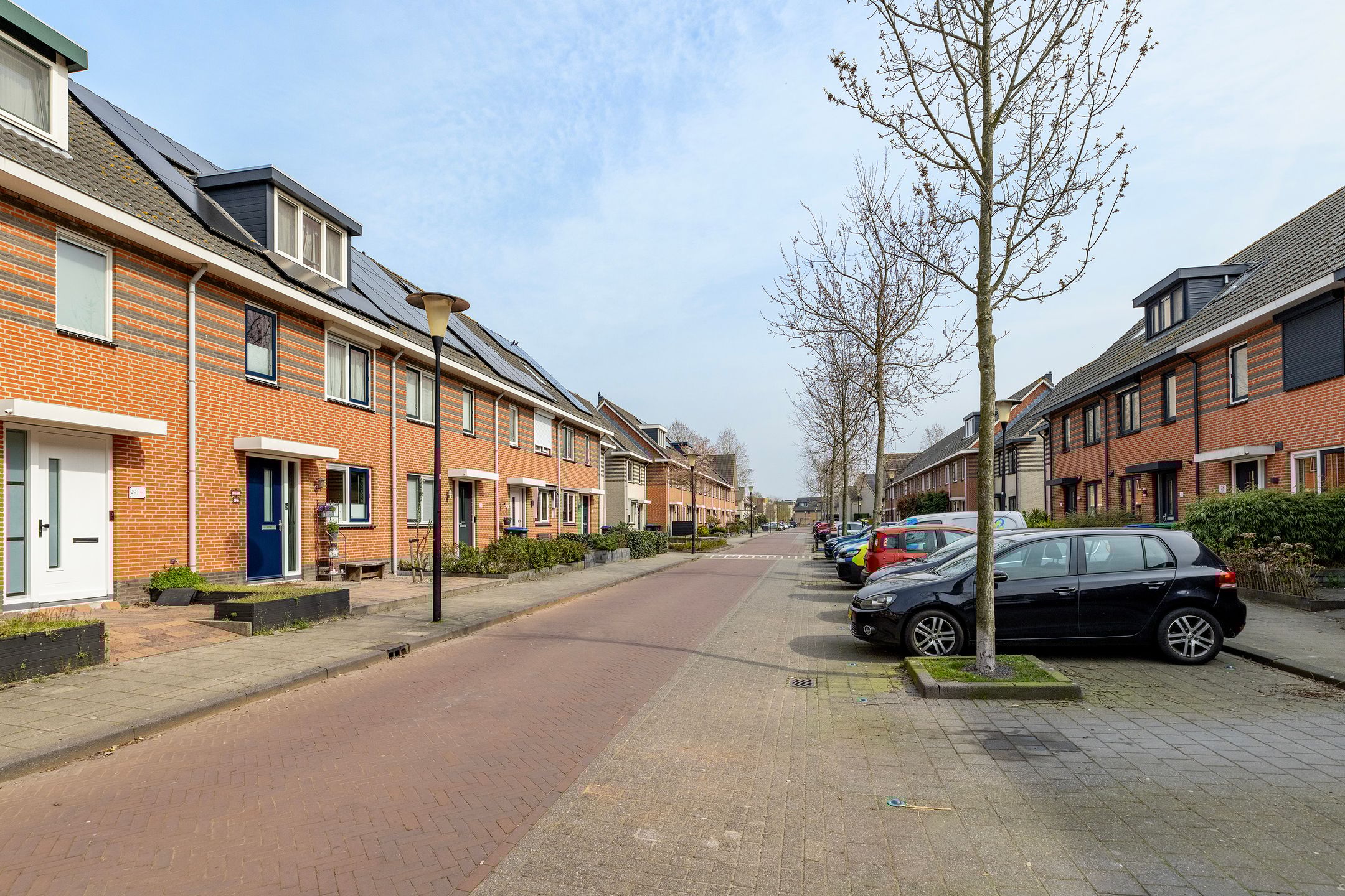 Foto 6 van Populierenhout 27