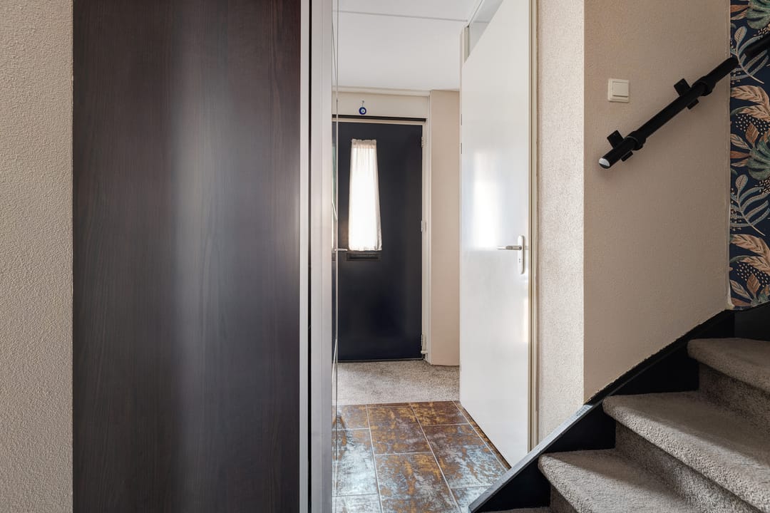 Foto 7 van Populierenhout 27