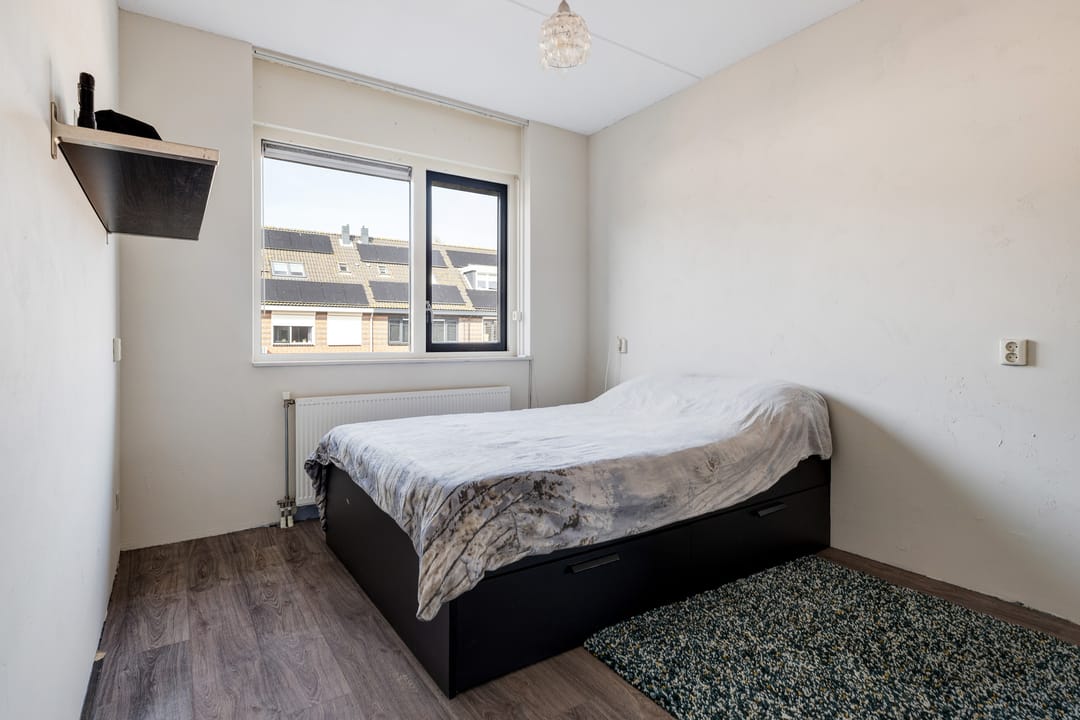 Foto 17 van Populierenhout 27