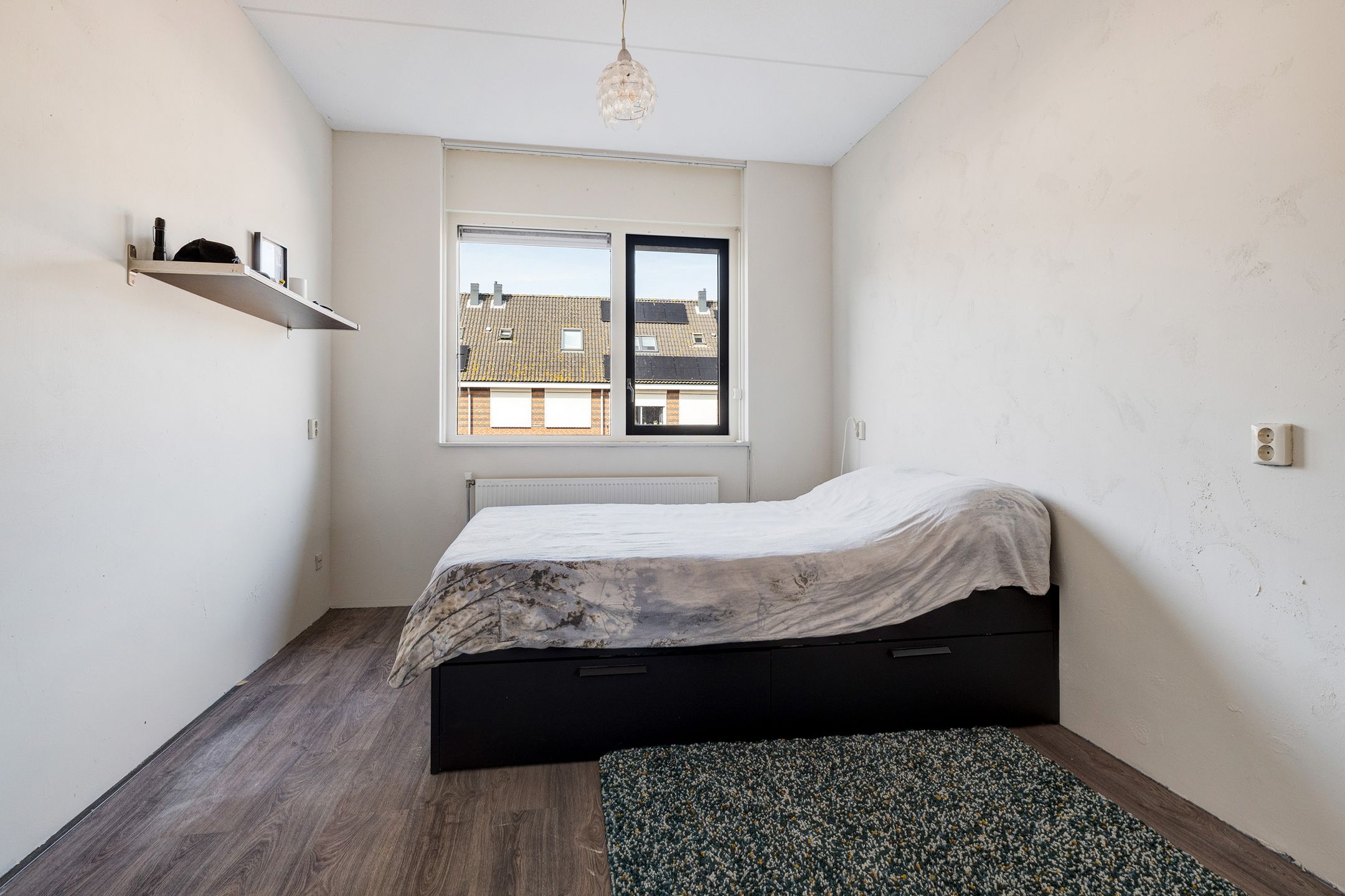 Foto 18 van Populierenhout 27