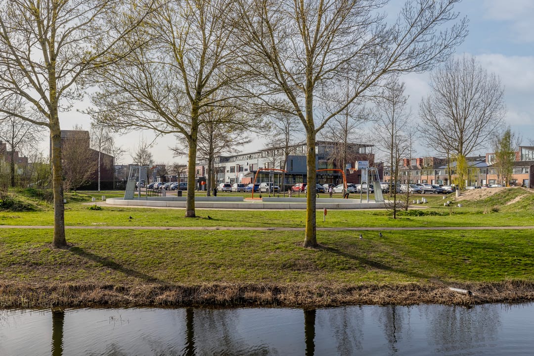 Foto 38 van Populierenhout 27