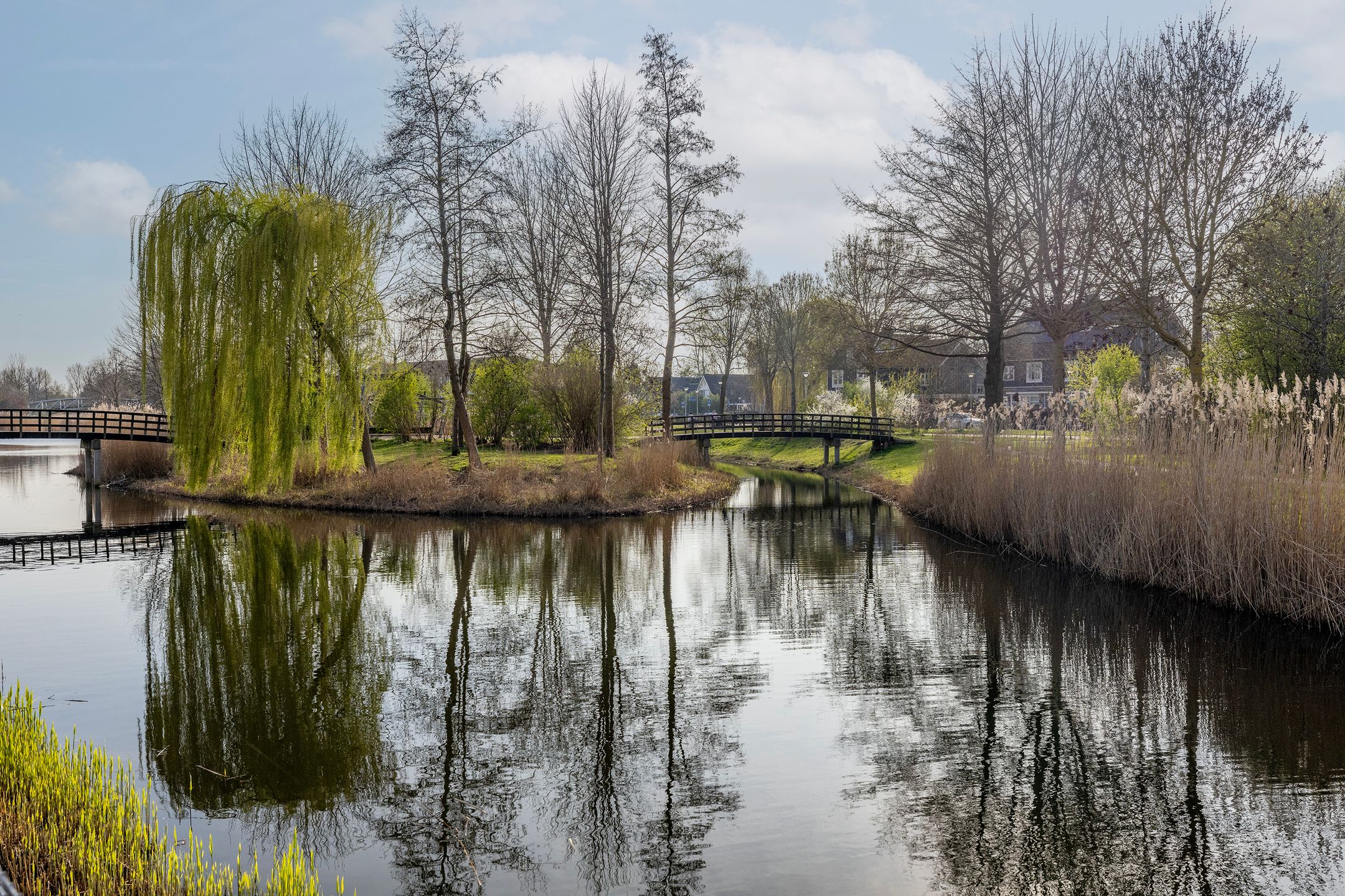 Foto 39 van Populierenhout 27