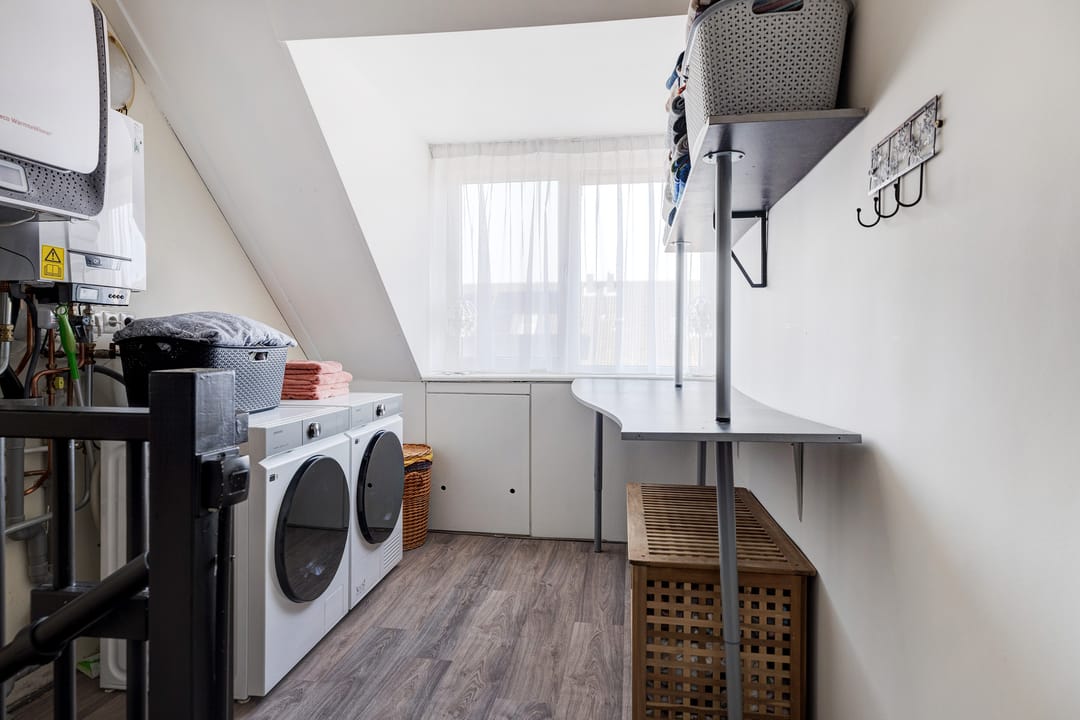 Foto 26 van Populierenhout 27