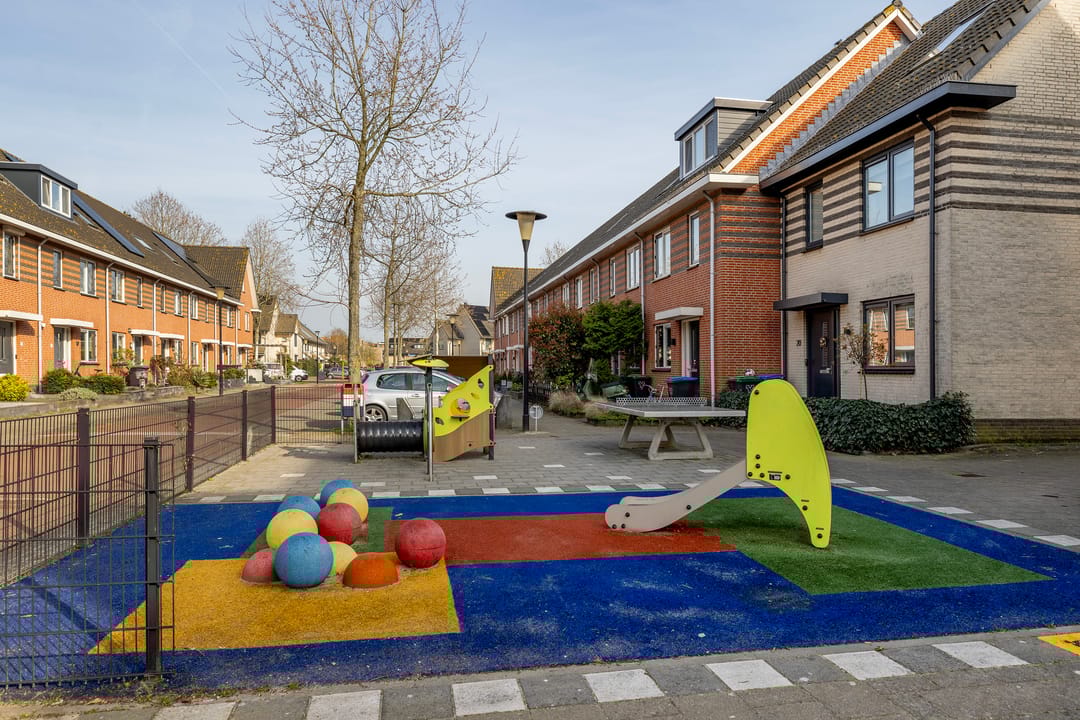 Foto 37 van Populierenhout 27