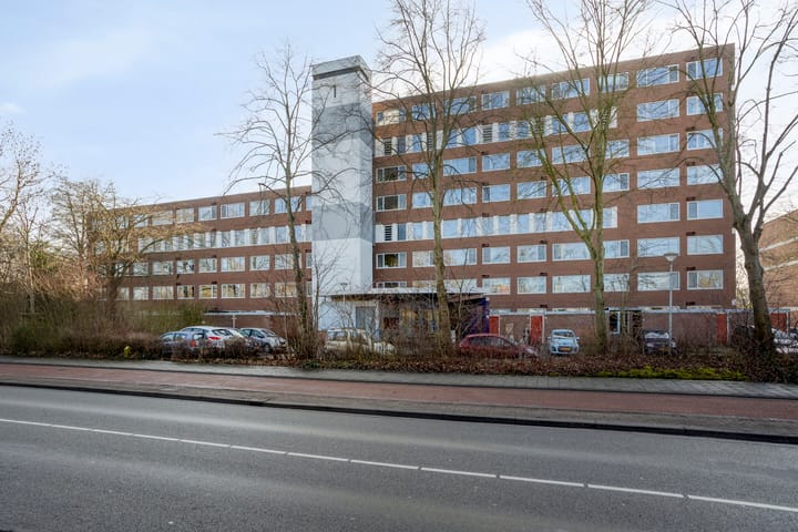 Foto 4 van Meerpaal 51