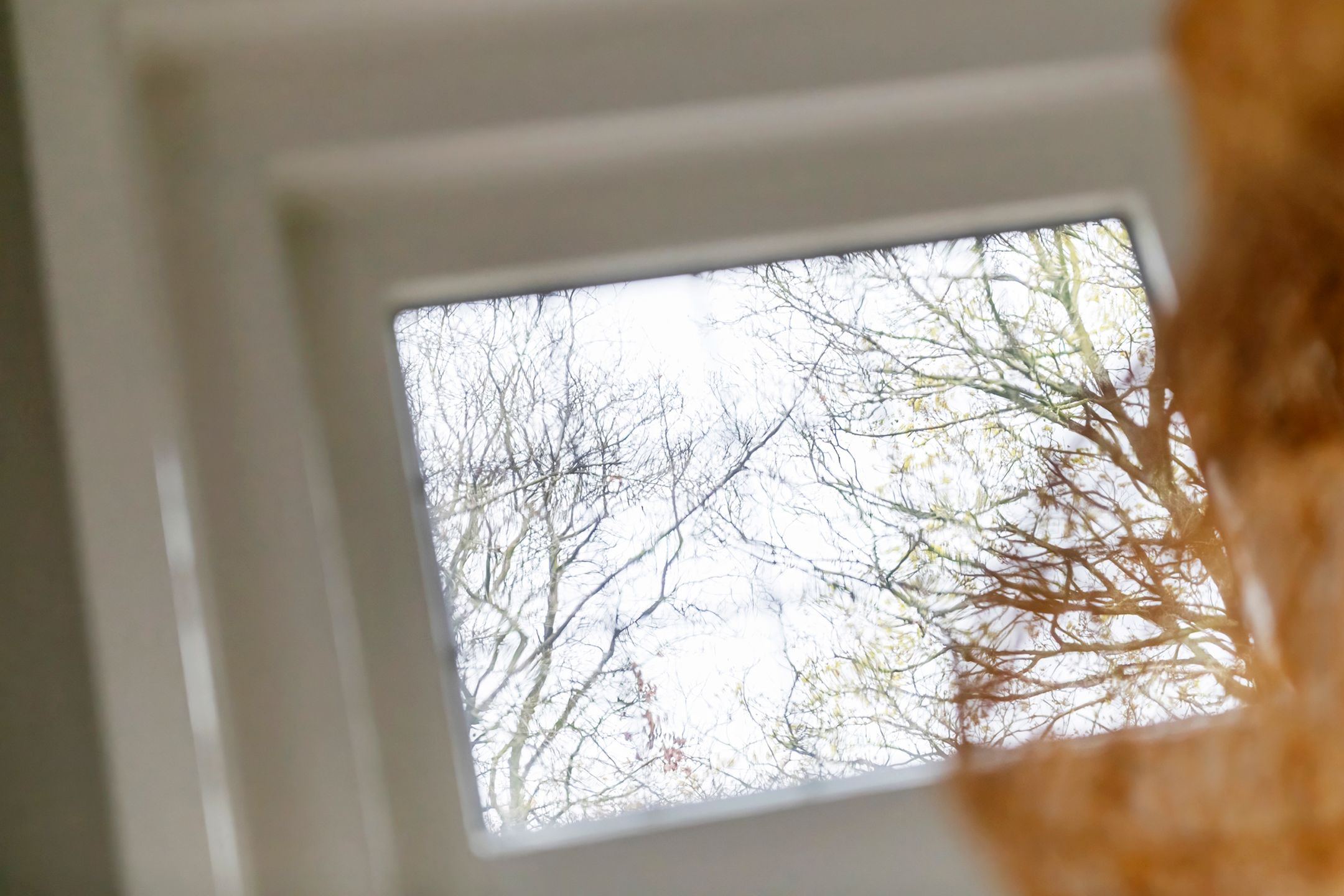 Foto 30 van Burgemeester Meslaan 4