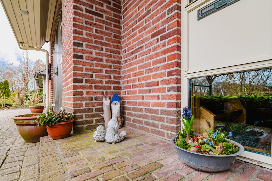 Foto 11 van Hoefblad 7